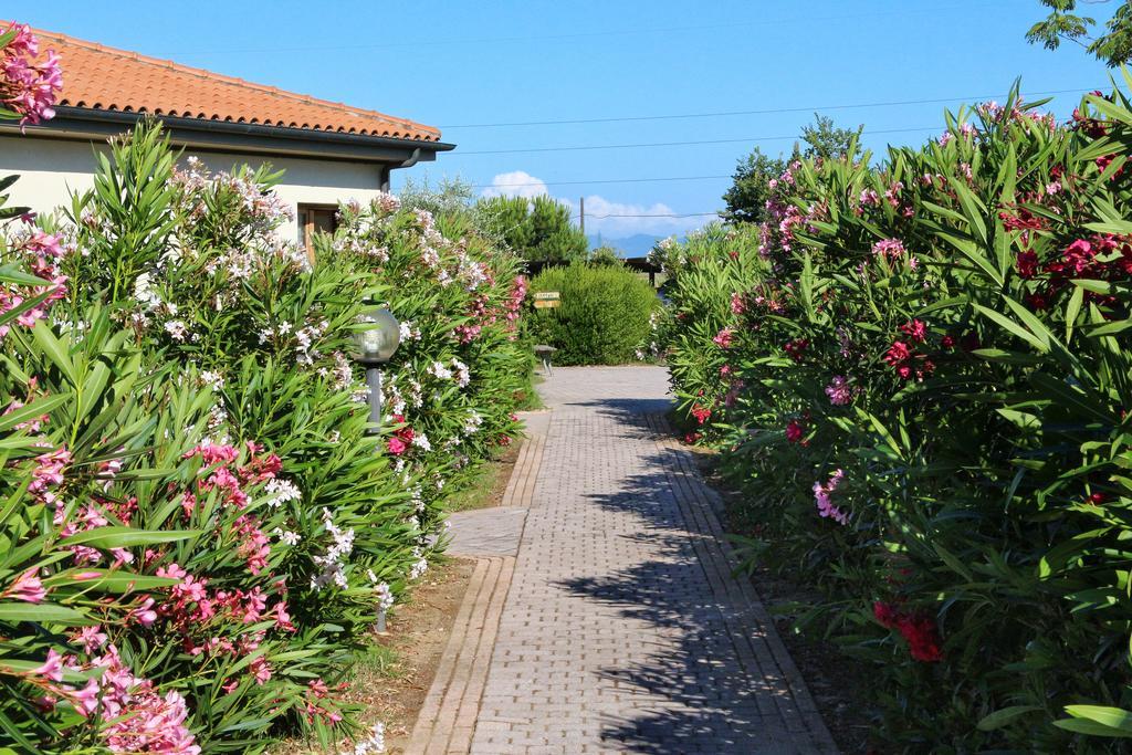 Agriturismo Gli Etruschi Populonia Εξωτερικό φωτογραφία