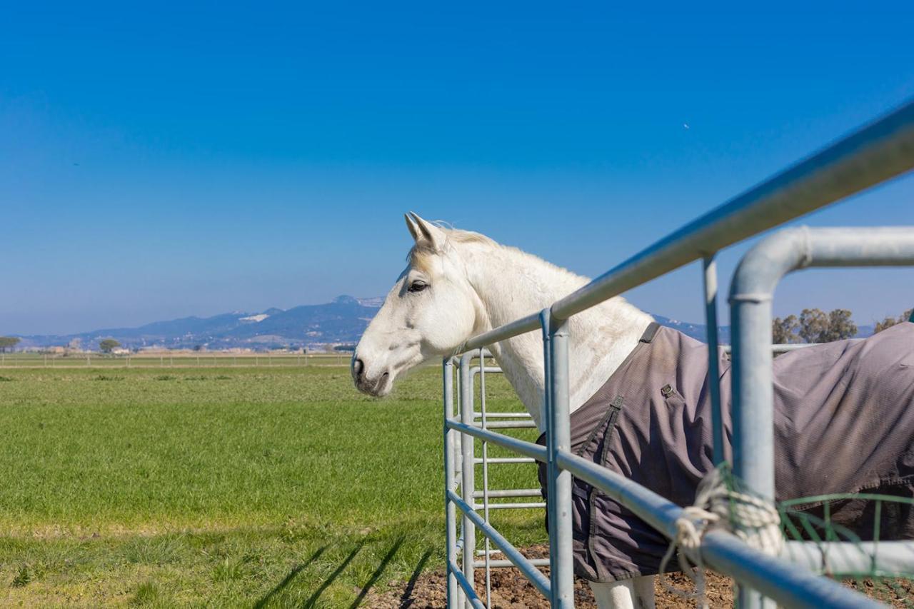 Agriturismo Gli Etruschi Populonia Εξωτερικό φωτογραφία