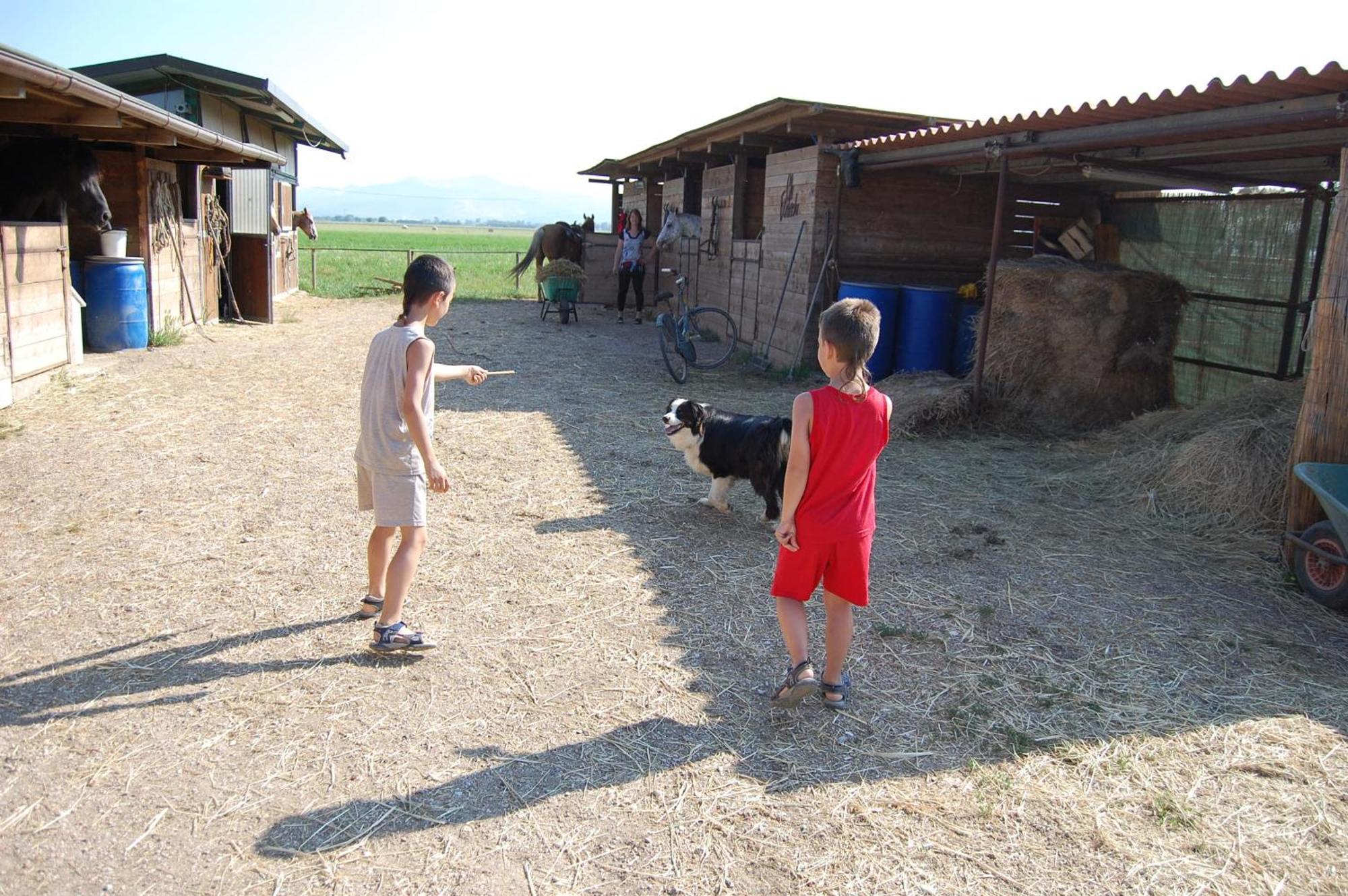 Agriturismo Gli Etruschi Populonia Εξωτερικό φωτογραφία