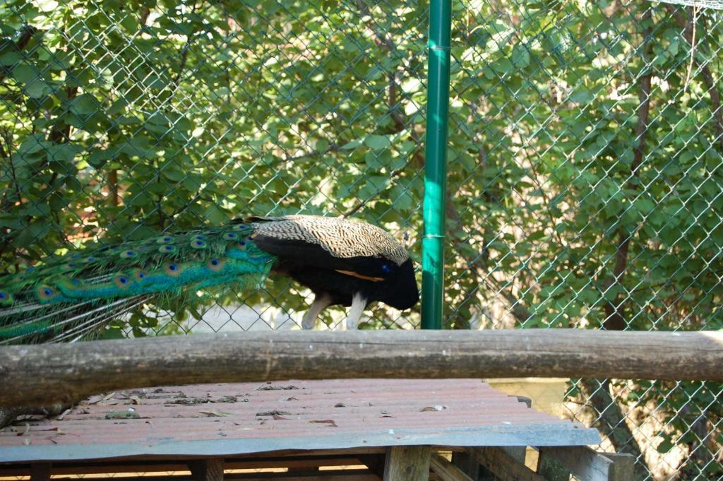 Agriturismo Gli Etruschi Populonia Εξωτερικό φωτογραφία