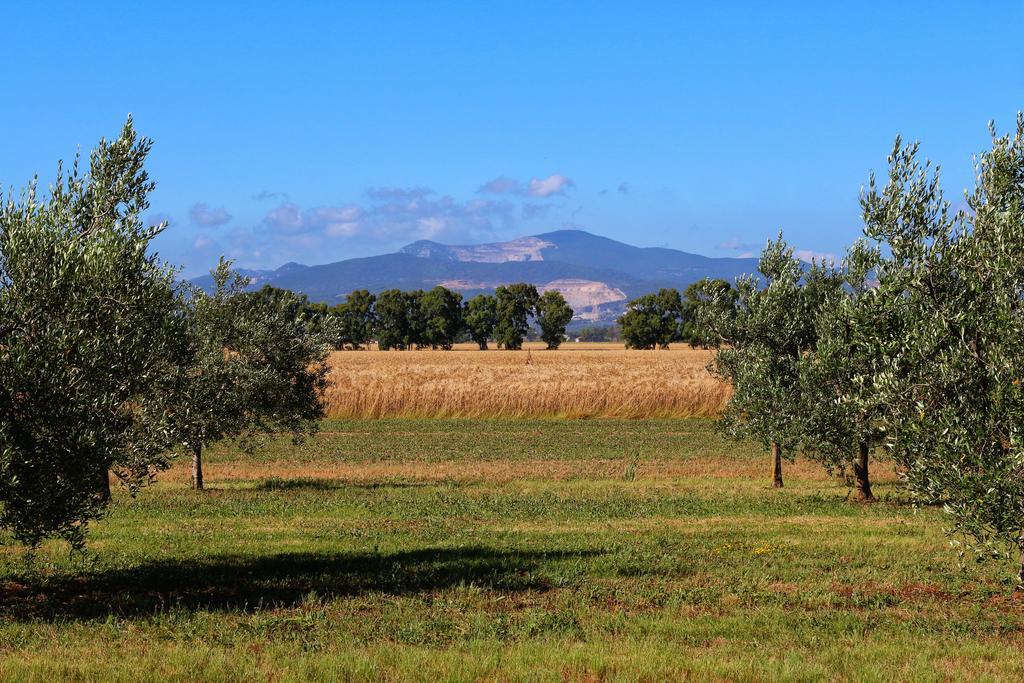 Agriturismo Gli Etruschi Populonia Εξωτερικό φωτογραφία